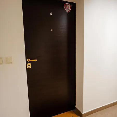 Mountain View Sky Ori 4