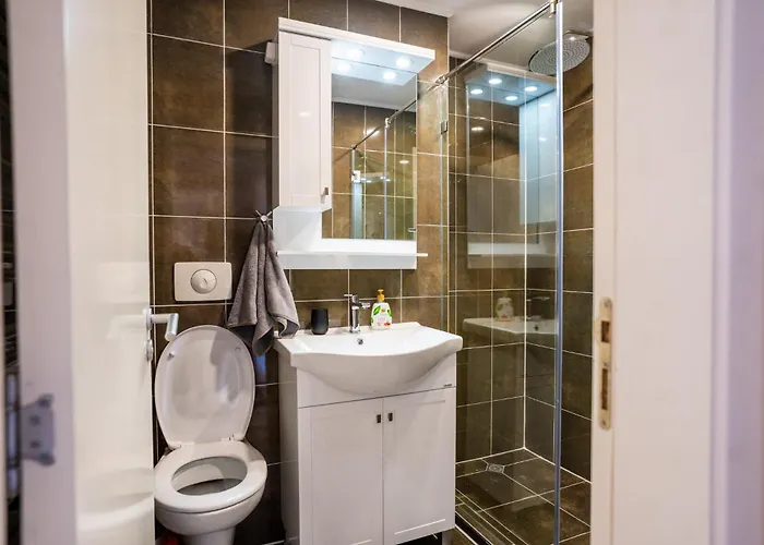 Mountain View Sky Ori 4